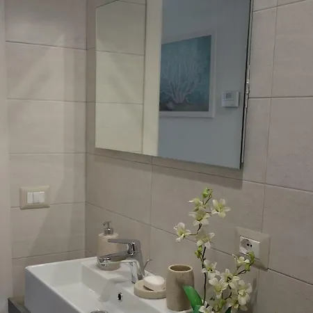 Zi Dima * 贾迪尼-纳克索斯